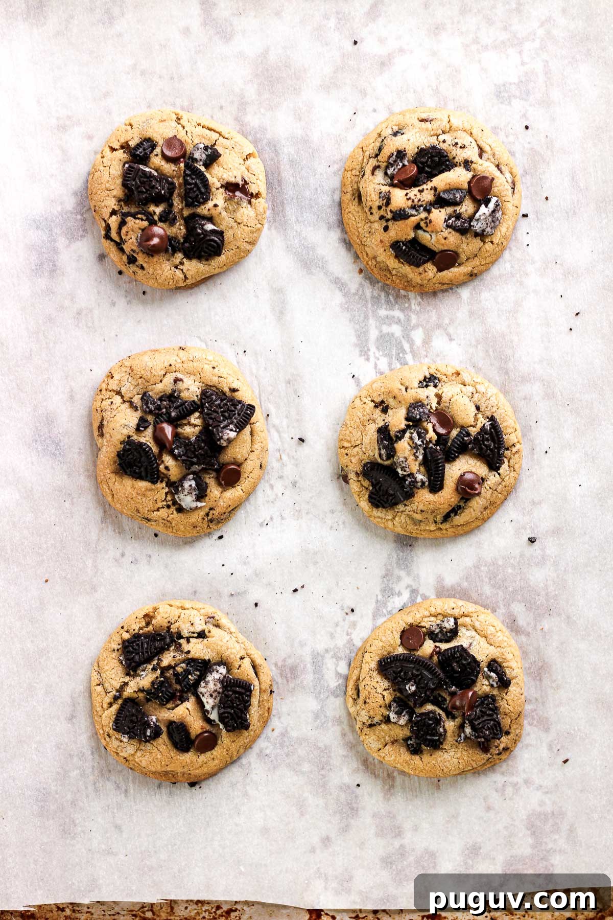Oreo Chocolate Chip Cookie Recipe — Crispy, Chewy Treats 13 Baked cookies cooling