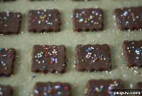 Salted Chocolate Brownie Cookies Recipe & Baking Tips