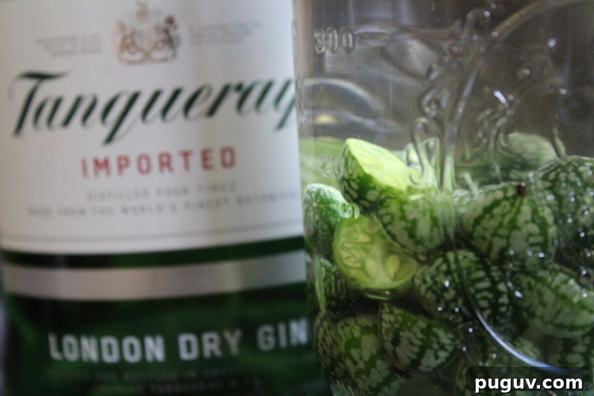 Grow Cucamelons (Mouse Melons): Planting, Care & Harvest Guide 8 Homemade Cucamelon Gin infusing in a mason jar