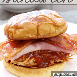 Hog Wild Sandwich: Pulled Pork Feast Recipe 3 Hog Wild Sammich detail.