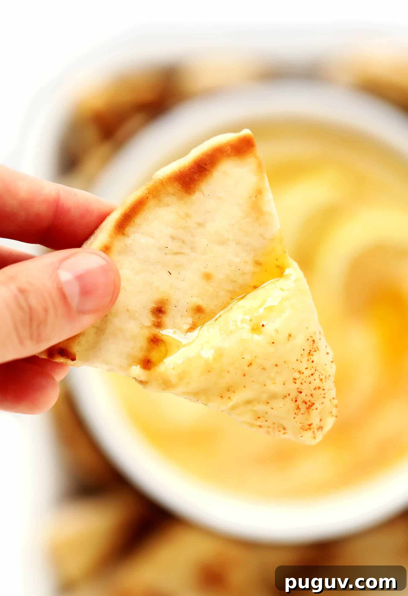 Greek Fava Dip with Pita Closeup