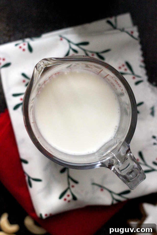 Healthy Vegan Pumpkin Spice Latte - Dairy-Free Cashew Milk Made with The NutraMilk