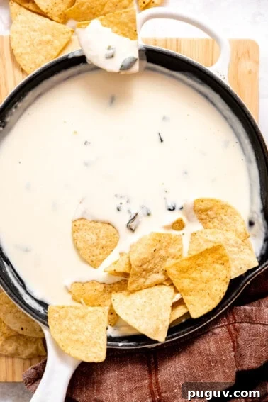 Loaded Texas Nachos Recipe: How to Make Classic Tex-Mex Nachos 13 Skilled with white queso served with tortilla chips.