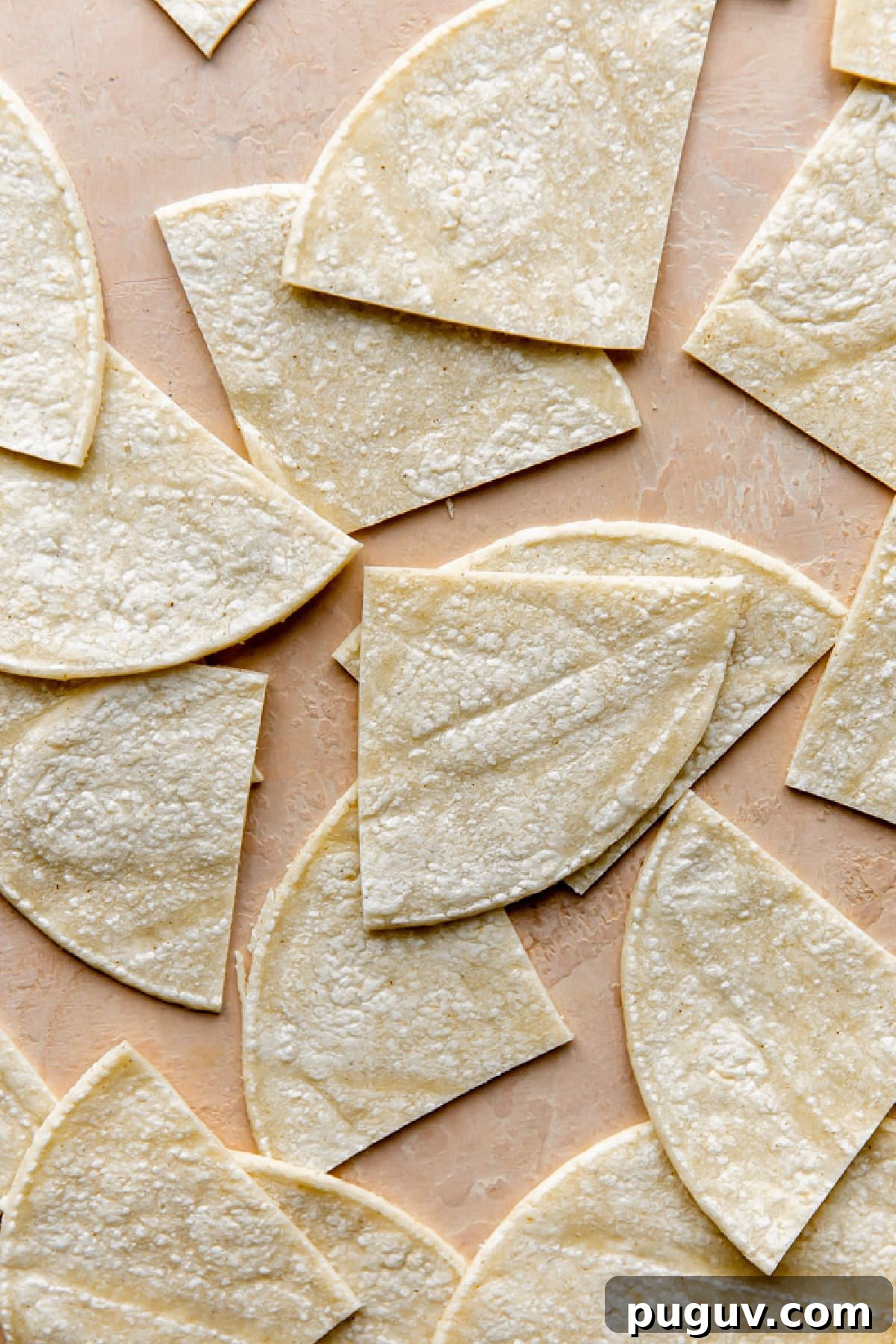 Loaded Texas Nachos Recipe: How to Make Classic Tex-Mex Nachos 6 Sliced corn tortillas spread out.