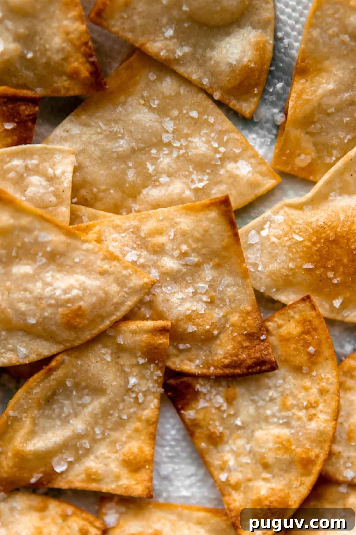 Loaded Texas Nachos Recipe: How to Make Classic Tex-Mex Nachos 7 Fried tortilla chips sprinkled with salt.