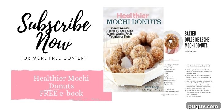 subscribe now mochi donut e-book