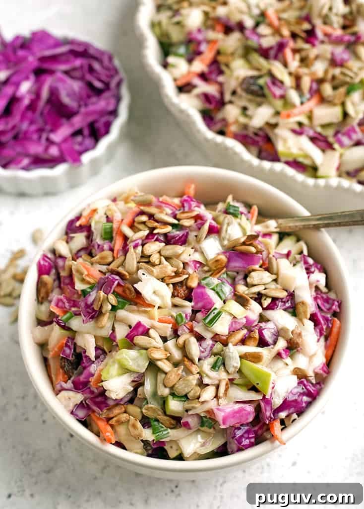 This Paleo Whole30 Coleslaw is easy to make and so delicious. Crunchy, fresh and such a great side dish. Gluten free, dairy free, and sugar free. This Paleo Whole30 Coleslaw is easy to make and so delicious. Crunchy, fresh and such a great side dish. Gluten free, dairy free, and sugar free.