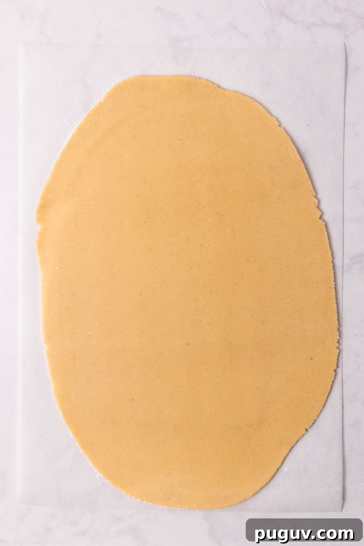 Rolled out sheet of dough