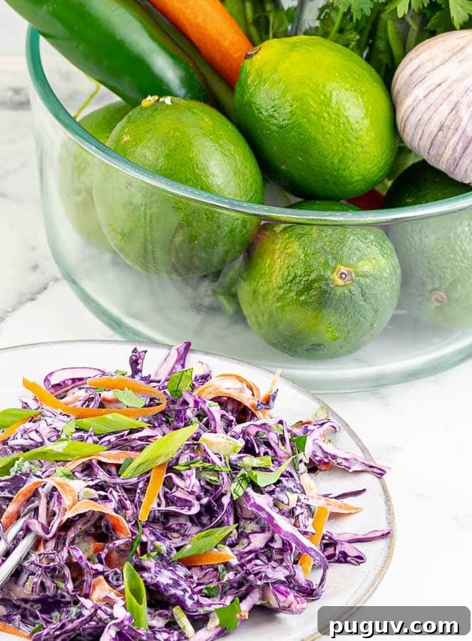 Purple Cilantro Lime Slaw Recipe for Fresh, Tangy Side Dish 2 plate of slaw with limes and vegetables in the back