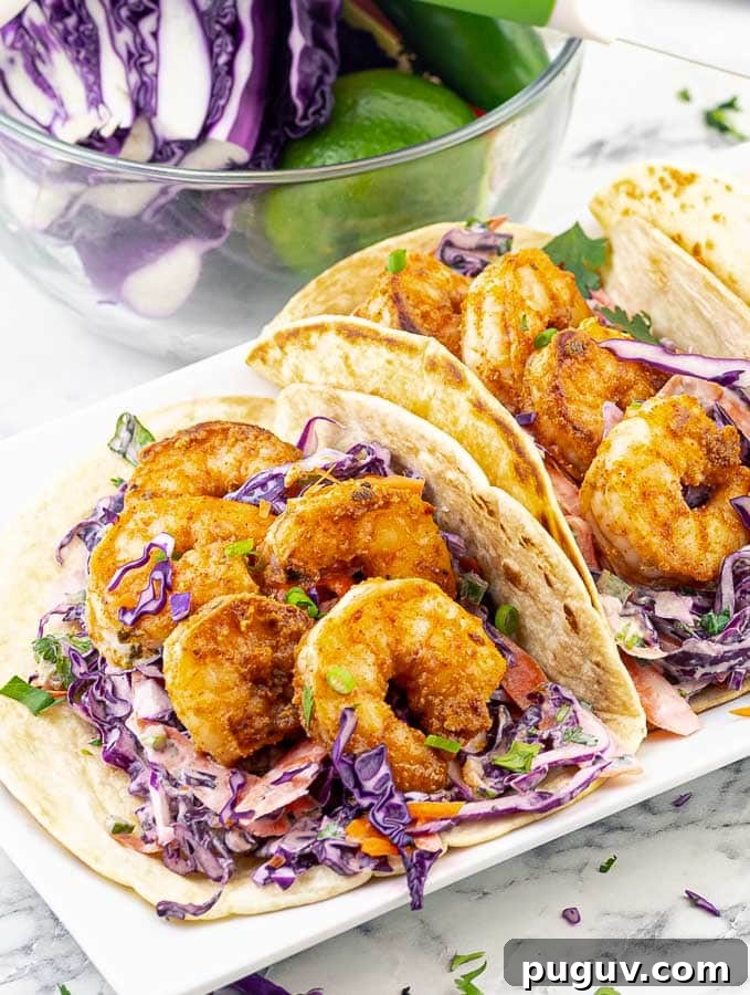 Purple Cilantro Lime Slaw Recipe for Fresh, Tangy Side Dish 5 img 8358 4