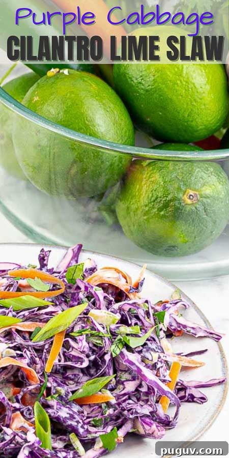 Purple Cilantro Lime Slaw Recipe for Fresh, Tangy Side Dish 6 Pinterest Image of Cilantro Lime Coleslaw