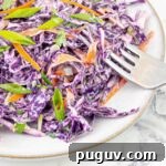 Purple Cilantro Lime Slaw Recipe for Fresh, Tangy Side Dish 7 closeup of a plate of purple lime slaw