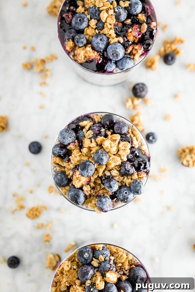 Berry Chia Pudding with Crunchy Granola Bowl PMID 4 An overhead photo of three glasses of chia seed pudding topped with blueberries and Udi's Gluten Free Vanilla Granola in a row.