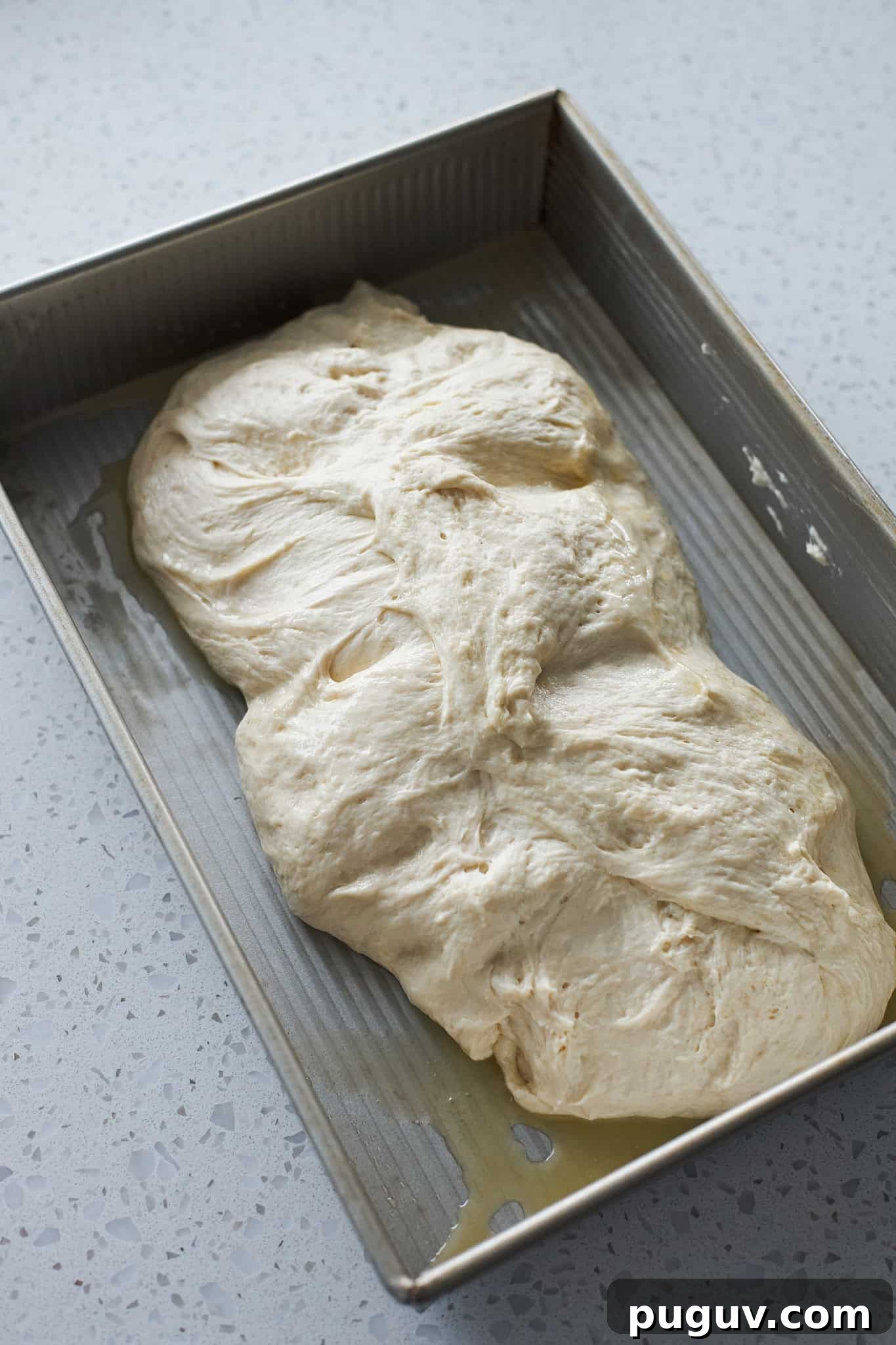 Sourdough Discard Cinnamon Roll Focaccia Recipe 8 Dough in the 9x13-inch baking pan.