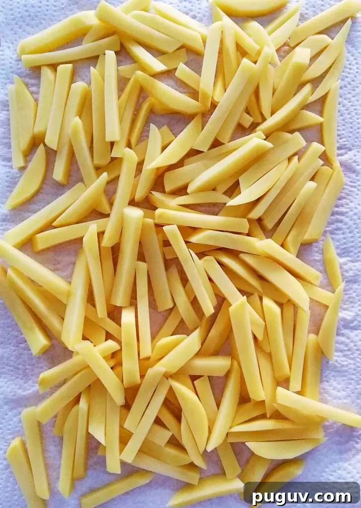 Crispy Oven-Baked French Fries Recipe for Perfect Results 4 oven french fries drying on paper towel
