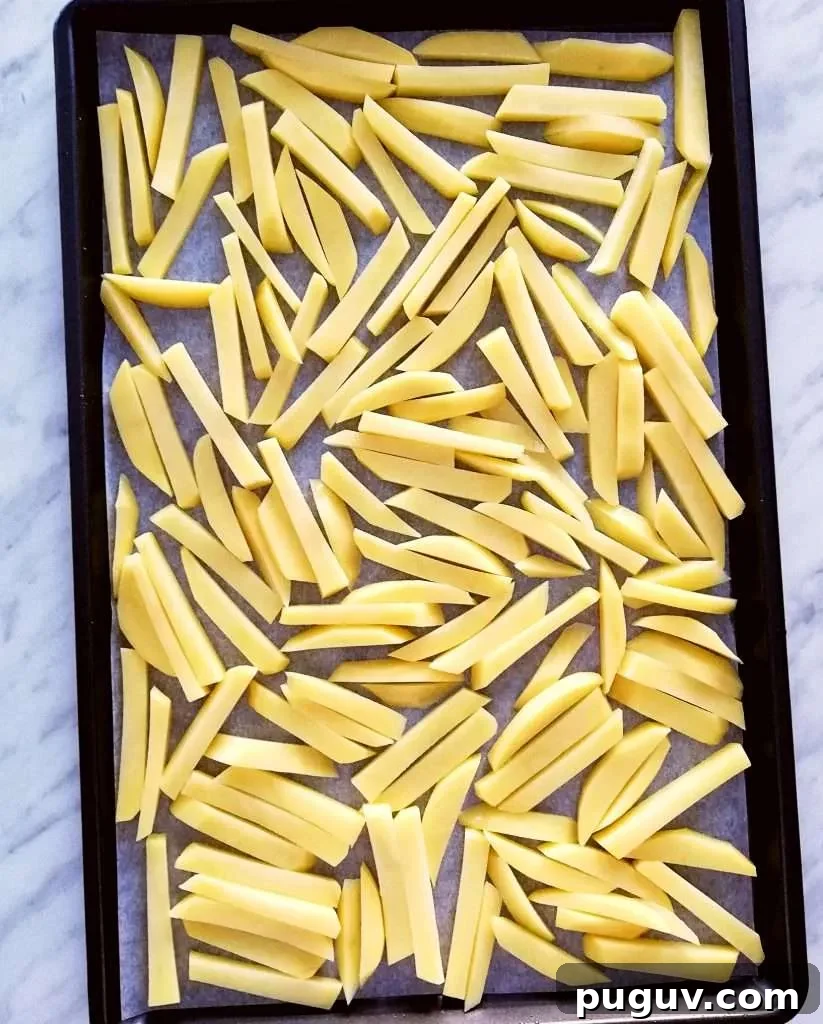 Crispy Oven-Baked French Fries Recipe for Perfect Results 6 oven french fries on baking sheet