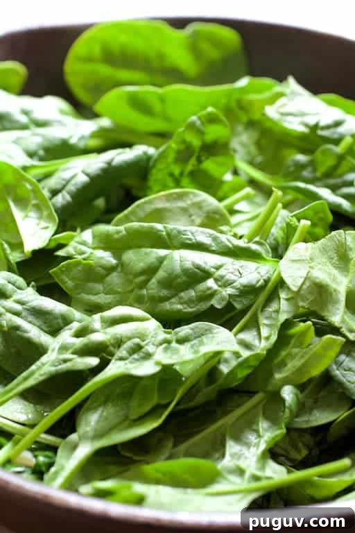 Spinach, Leek & Feta Frittata Recipe for Brunch or Dinner 3 Photo of bowl full of fresh baby spinach.