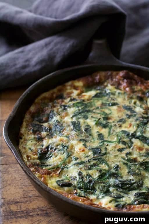 Spinach, Leek & Feta Frittata Recipe for Brunch or Dinner 5 Photo of Spinach Leek and Feta Cheese Frittata in cast iron skillet with gray towel over handle.