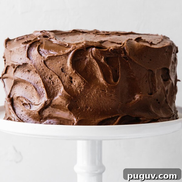 Paleo chocolate cake on a white cake stand.