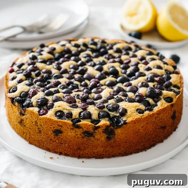 A lemon cake topped with blueberries on a table.