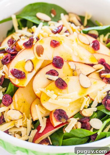 A fresh spinach salad with sliced apples, dried cranberries, almonds, and shredded cheese.
