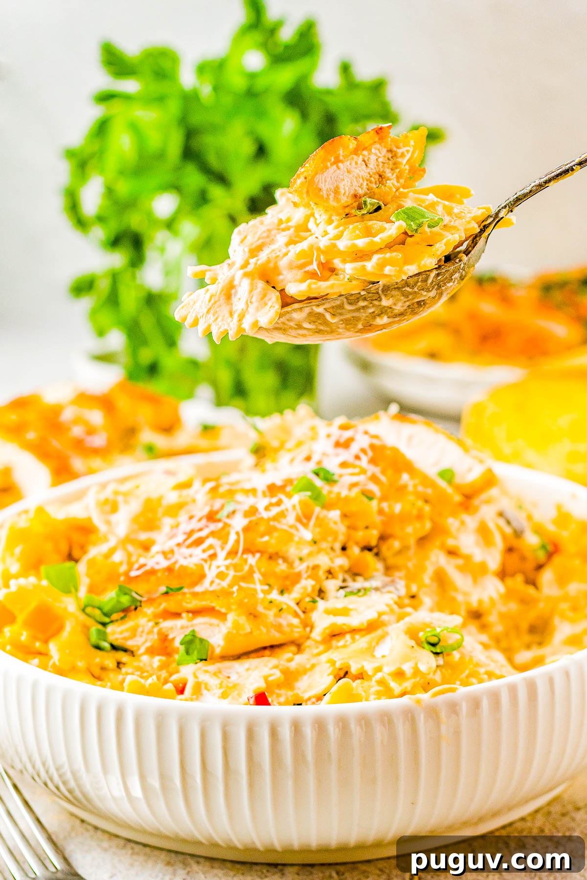 A spoon lifting a scoop of cajun chicken pasta from a dish.