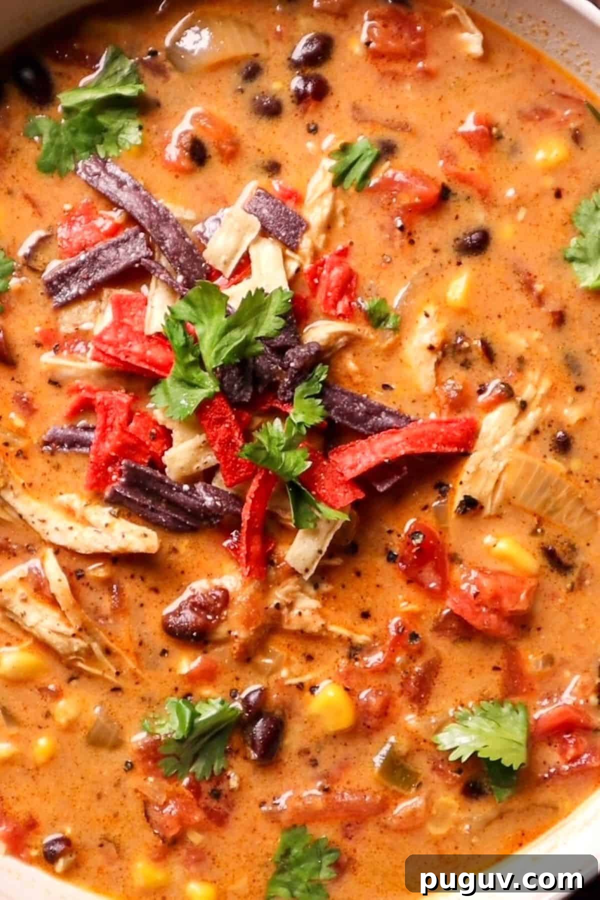 chicken taco soup