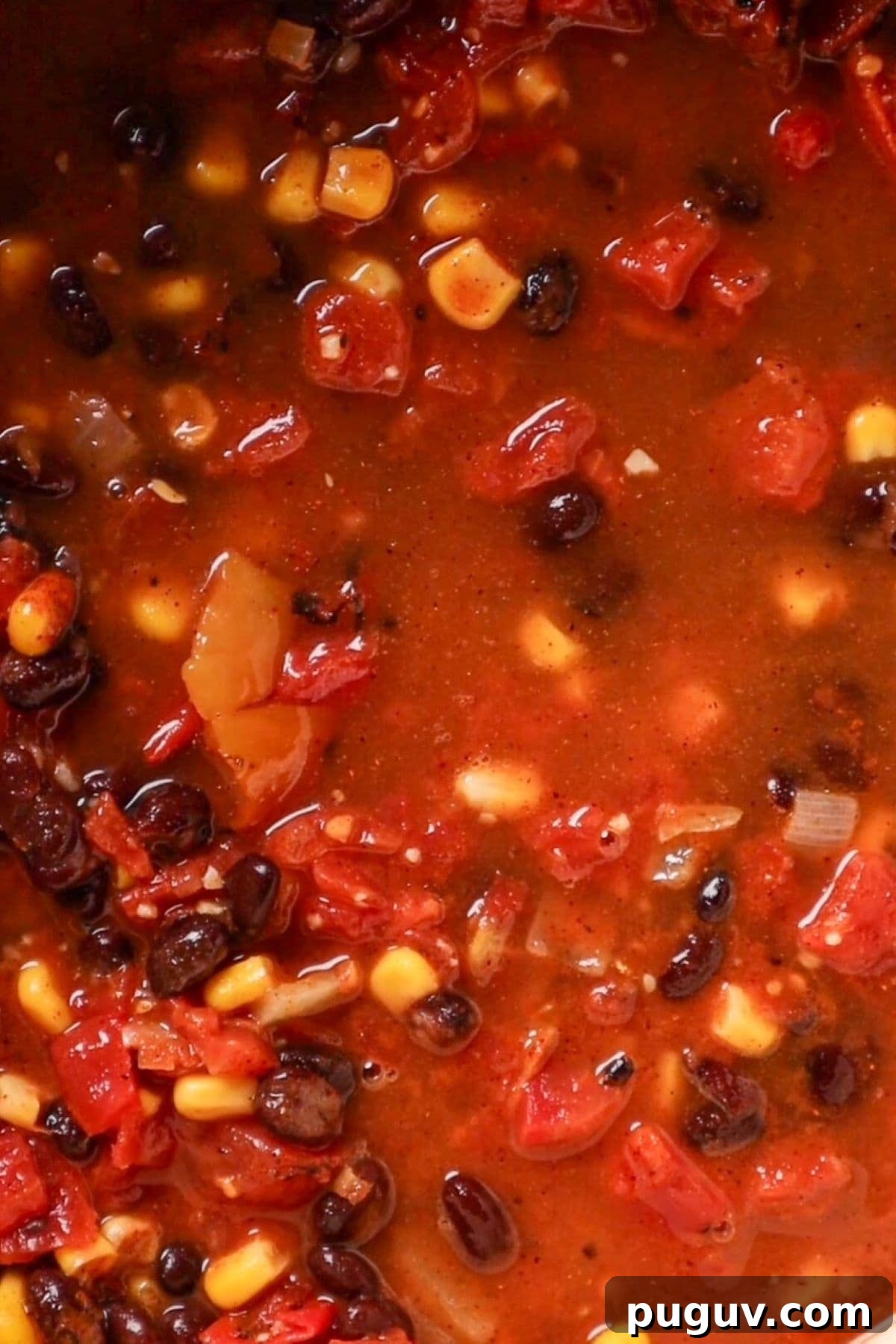 vegetables and taco seasoning in broth