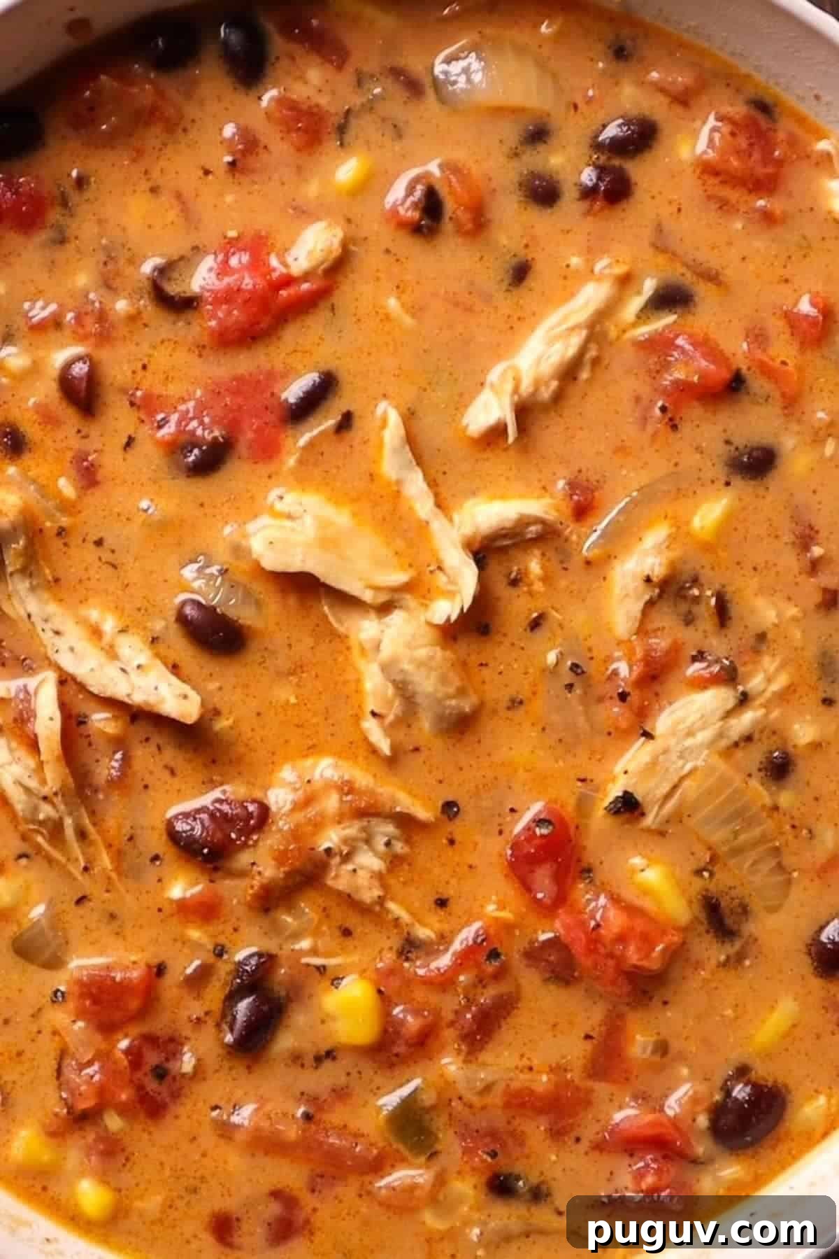 creamy chicken taco soup