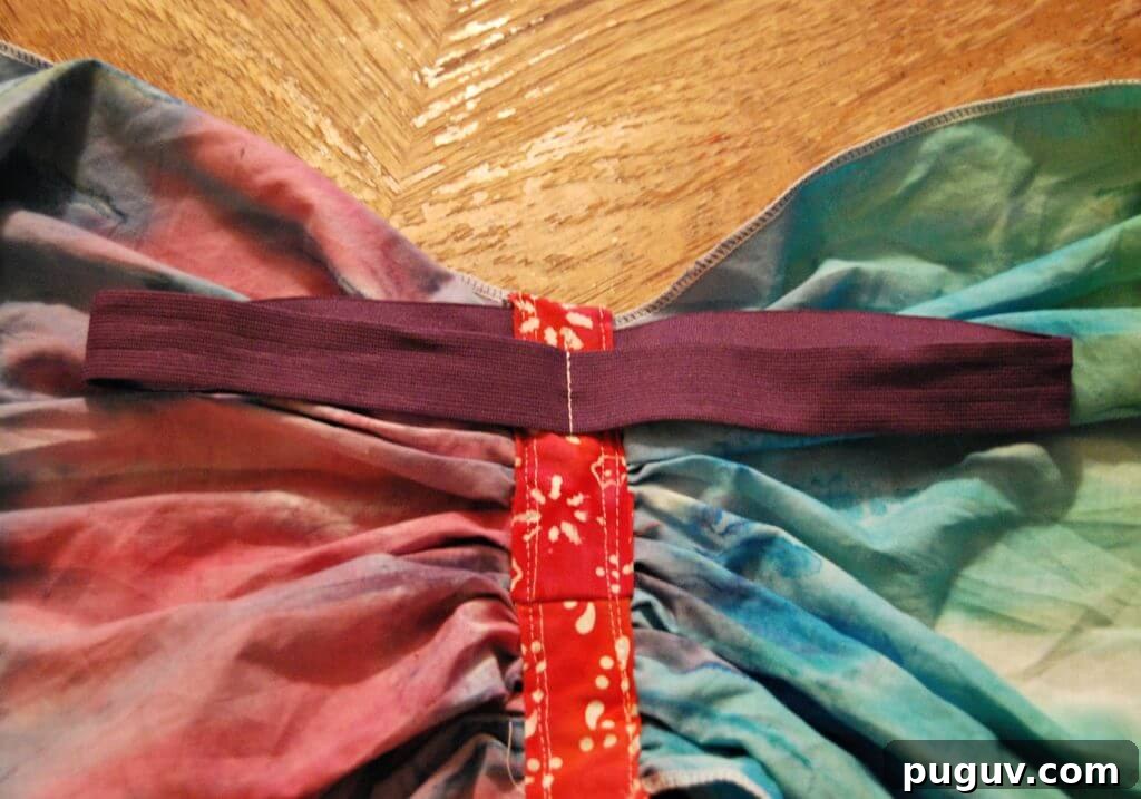 butterfly wings example