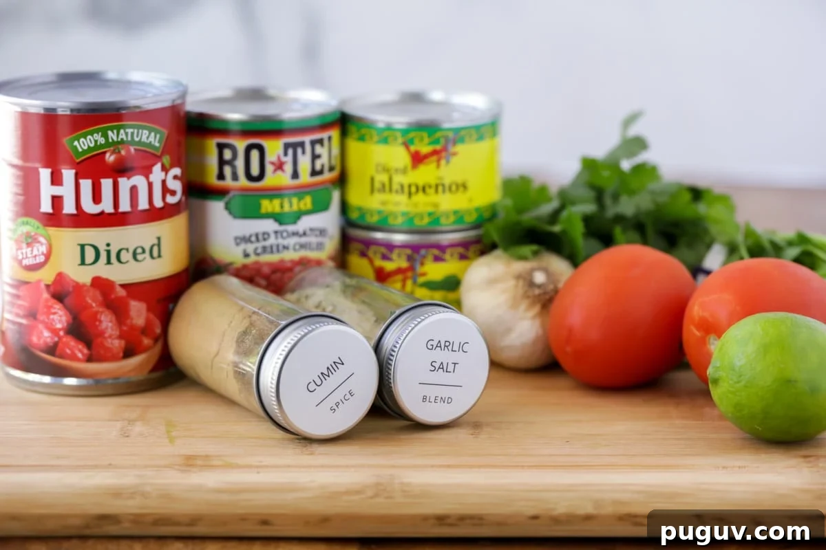 Homemade salsa ingredients sitting on the counter including a can of diced tomatoes, Ro-Tel, diced jalepenos, cumin, garlic salt, fresh tomatoes, lime, cilantro, and a head of garlic 