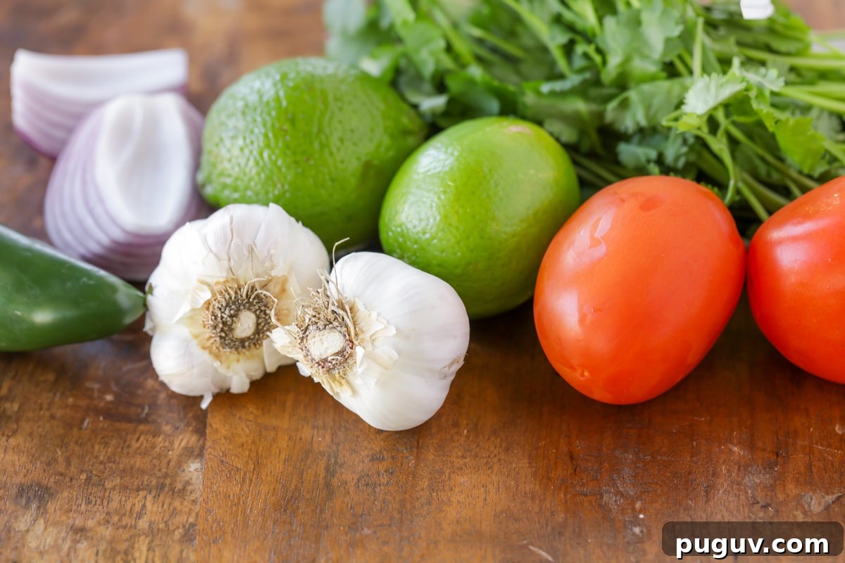 A close up of fresh tomatoes, limes, red onion, jalepenos, and cilantro. 