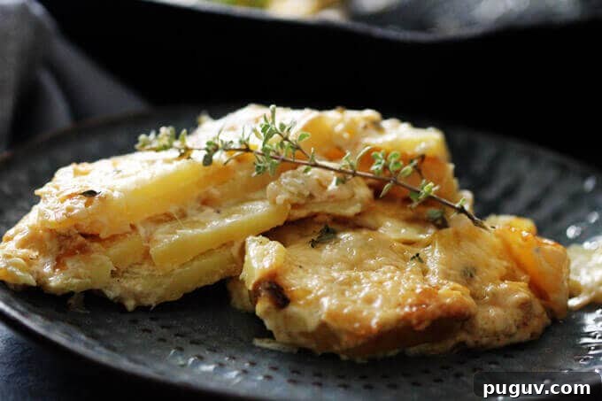 Potato Leek Casserole on a plate