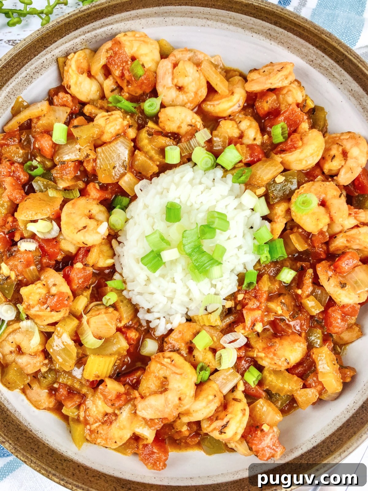 Shrimp Creole with Rice