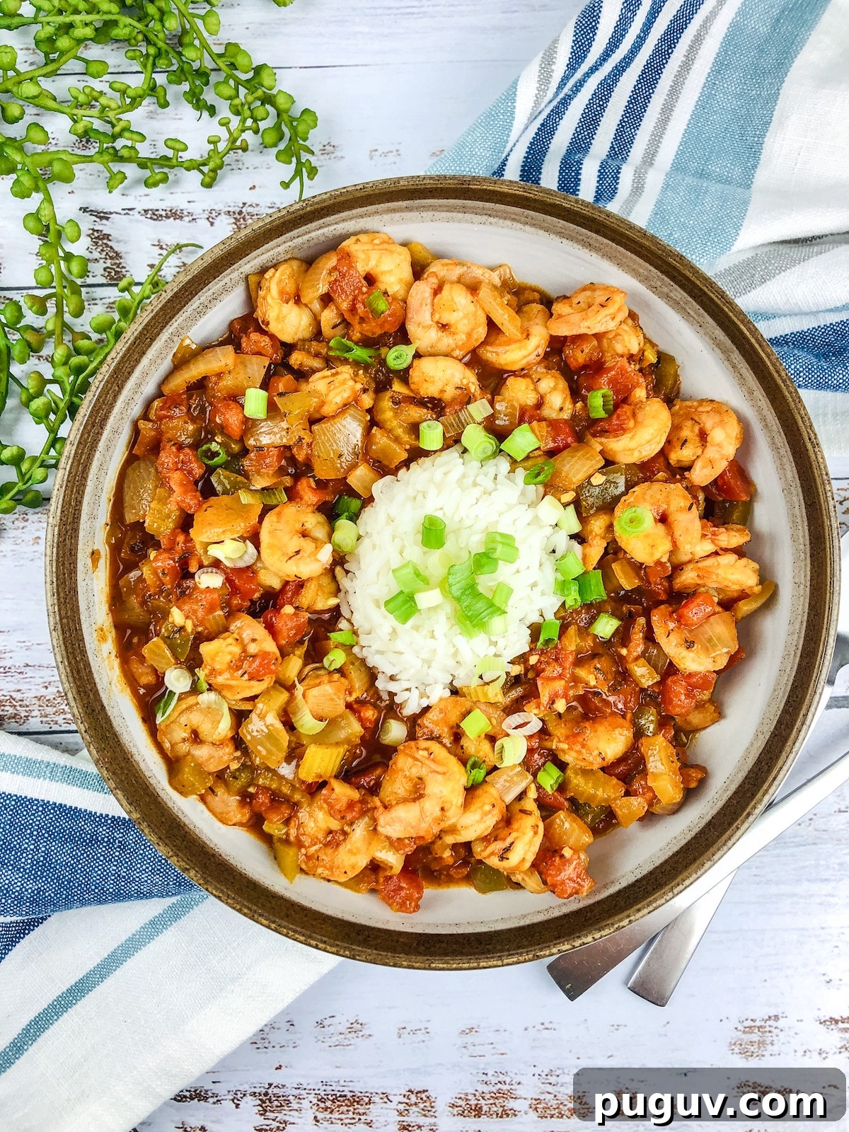 Shrimp Creole with rice on plate