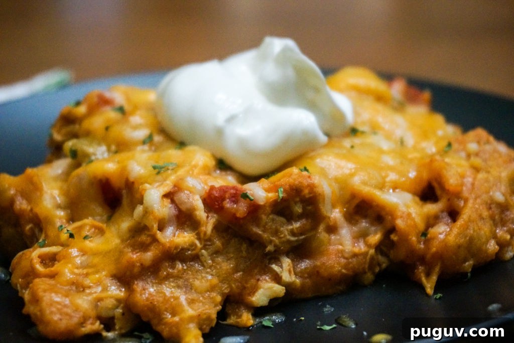 Bean Pot Chicken Enchiladas