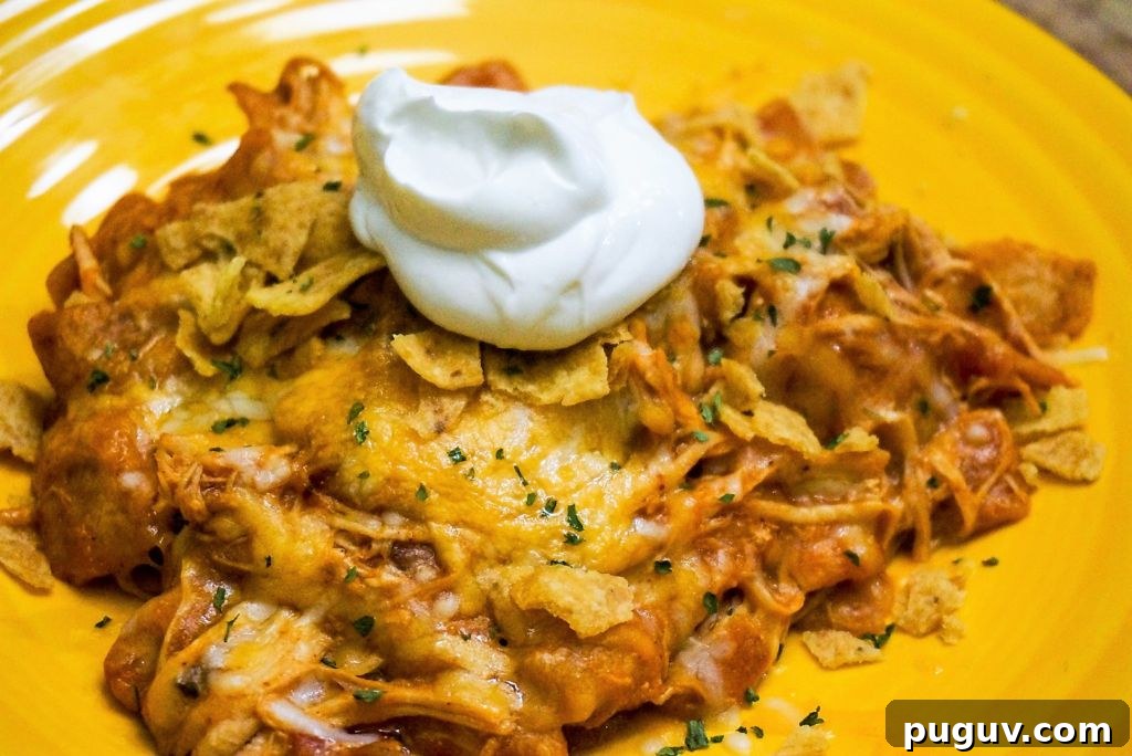 Easy Chicken Enchiladas in serving dish