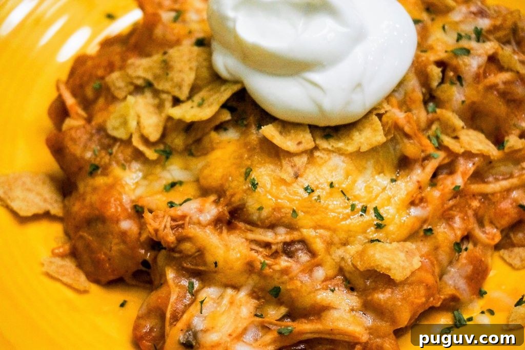 Yummy chicken enchiladas plated