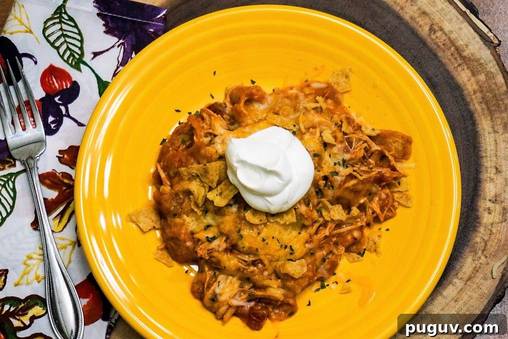 Quick and Easy Chicken Enchiladas