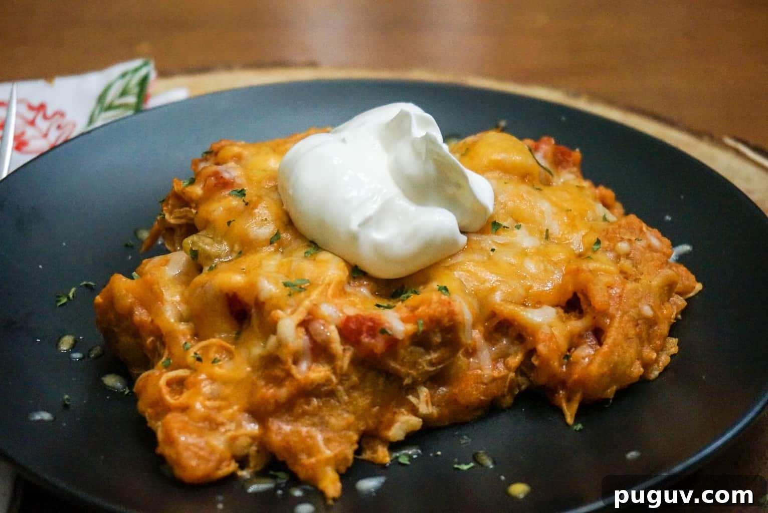 Chicken Enchiladas in Bean Pot