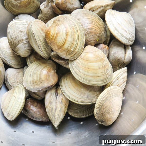 clams in a colander.