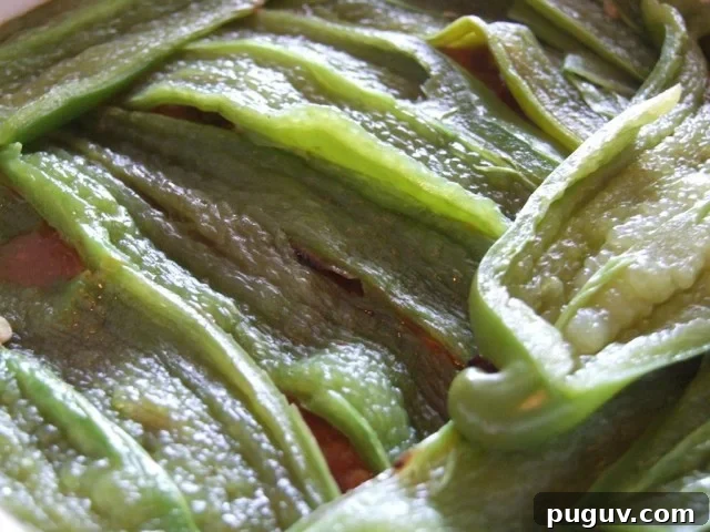 Hatch Chile Pepper Layers