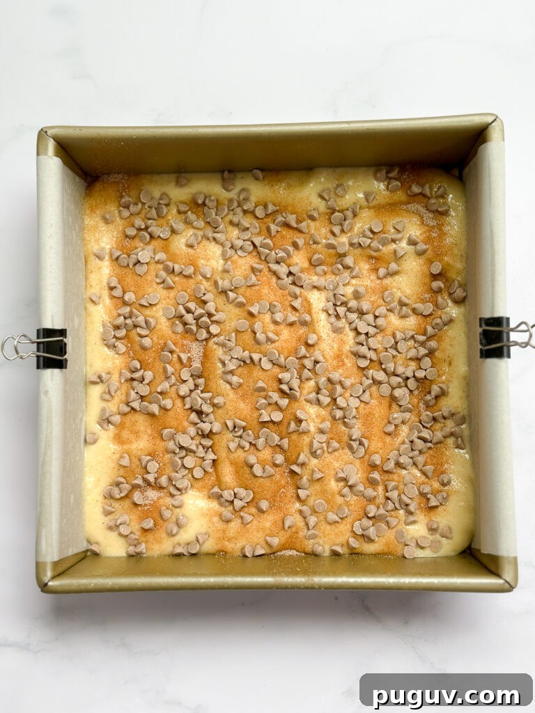 cinnamon chips added to cinnamon sugar mixture