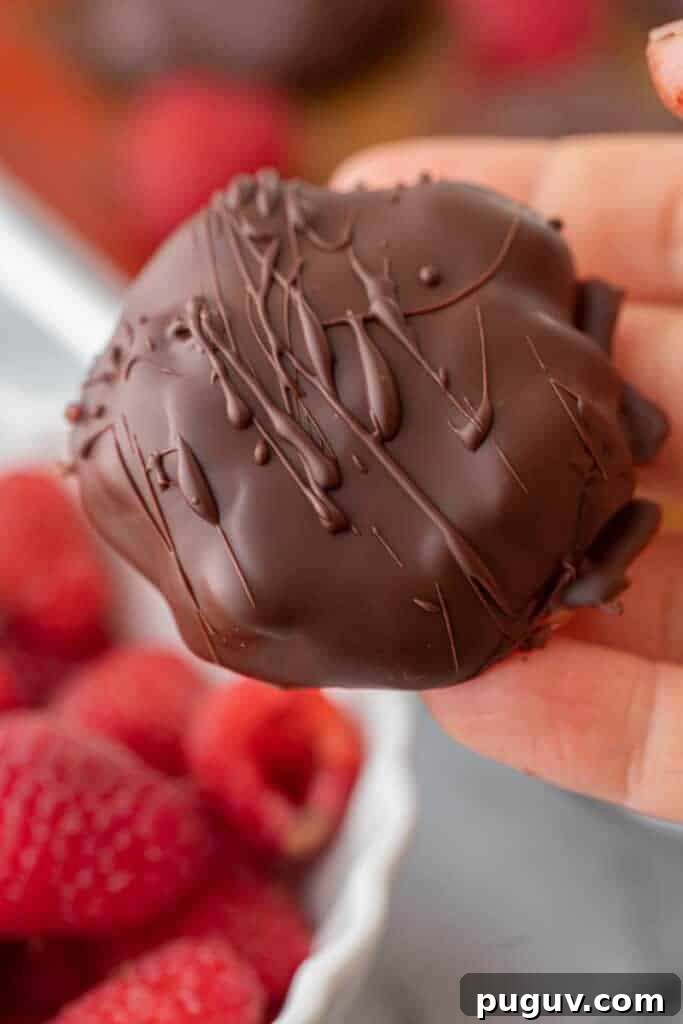 Hand holding chocolate jam bites